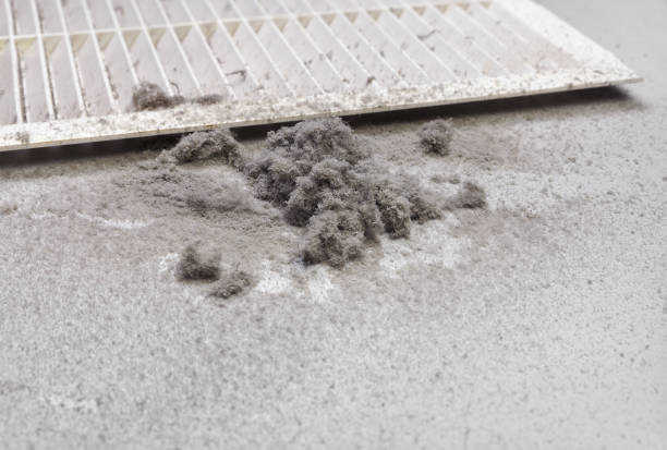 Professional Airduct Cleaning in Blue Ridge, GA