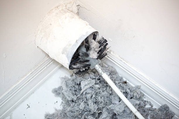 Best Emergency Air Duct Cleaning  in Blue Ridge, GA
